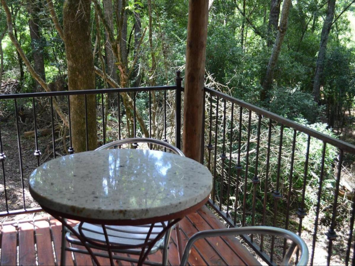 Shabby Fufu Lifestyle Farm Vila Plettenberg Bay Exterior foto