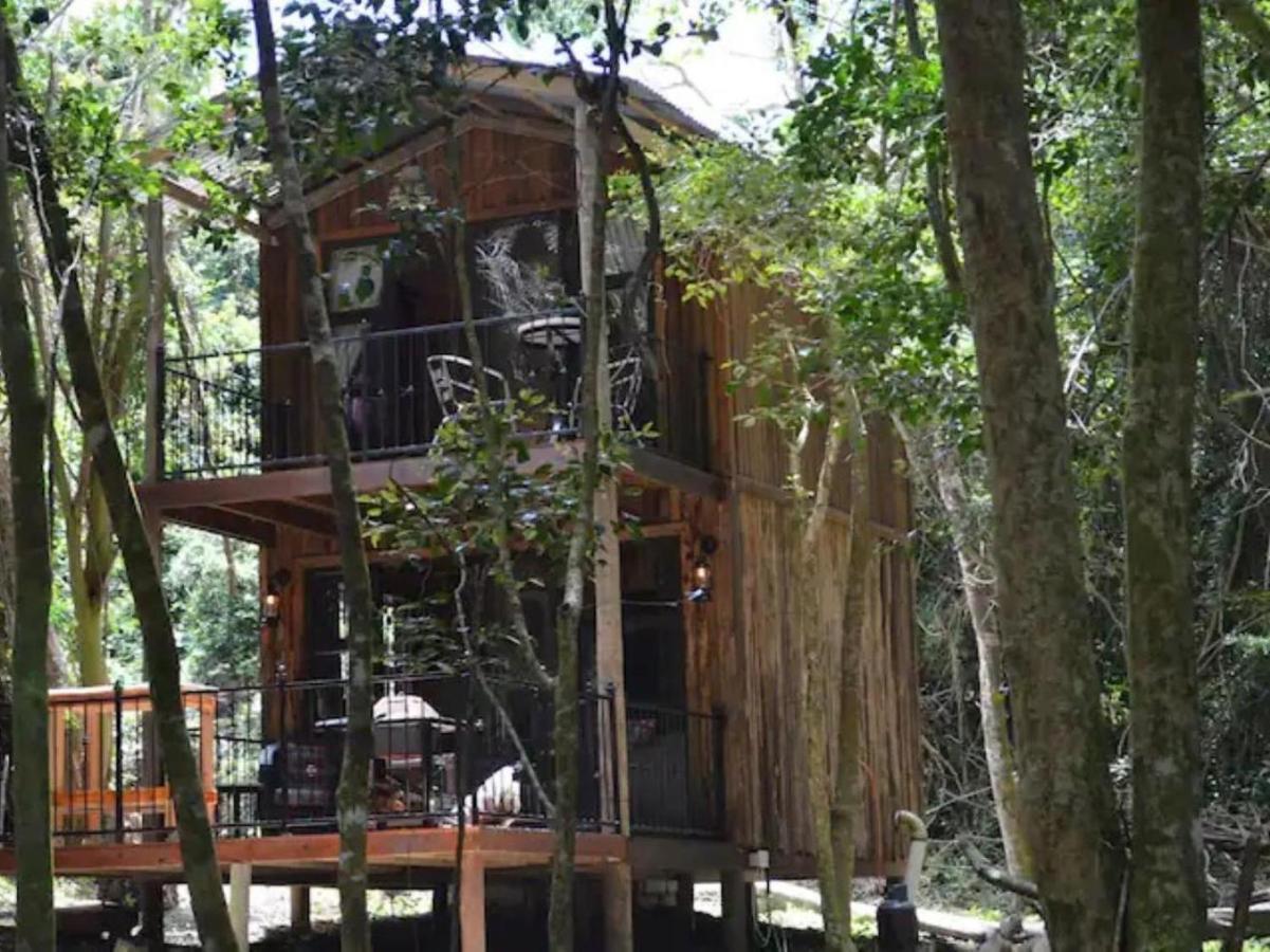 Shabby Fufu Lifestyle Farm Vila Plettenberg Bay Exterior foto